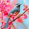 Sakura Tree With Bird paint by numbers