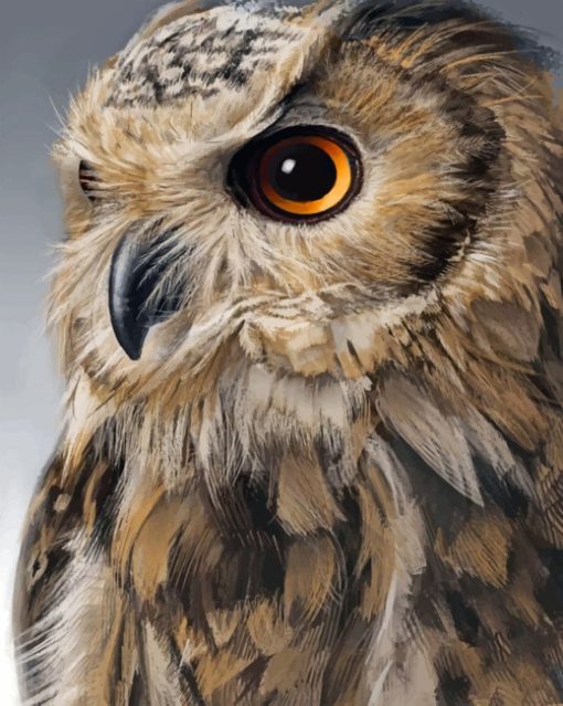 Close Up Owl paint By Numbers