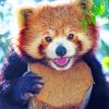 Close Up Red Panda paint by numbers