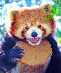 Close Up Red Panda paint by numbers