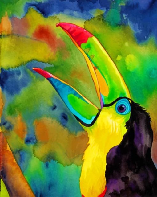 Colorful Bird paint by numbers