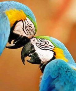 Couple Parrots paint By Numbers