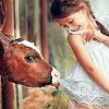 Cute Little Girl With Cow paint By Numbers