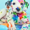 Cute Puppy Dalmatian paint by numbers