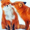 Foxes Couple paint By Numbers
