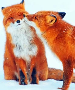 Foxes Couple paint By Numbers