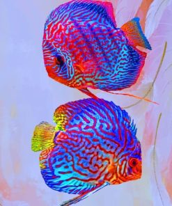 Discus Fishes paint by numbers
