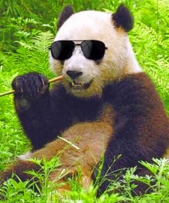 Panda With Sunglasses paint By Numbers