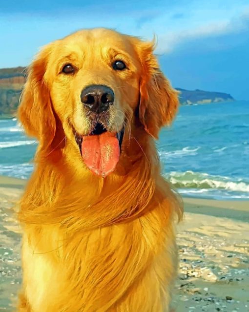 Golden Retriever In Beach paint By numbers