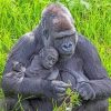 Dad And Cub Gorillas paint by numbers