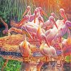Great White Pelicans paint by numbers