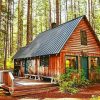 Cottage In Forest paint by numbers