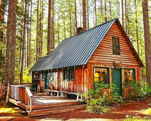 Cottage In Forest paint by numbers