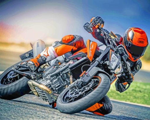 Ktm Duke 390 Rider paint by numbers