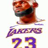 Lebron James Lakers paint by numbers
