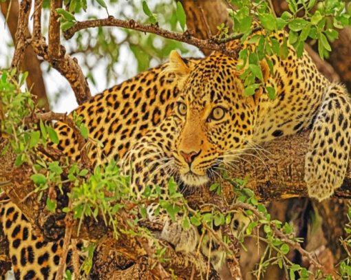 Leopard On Tree paint by numbers