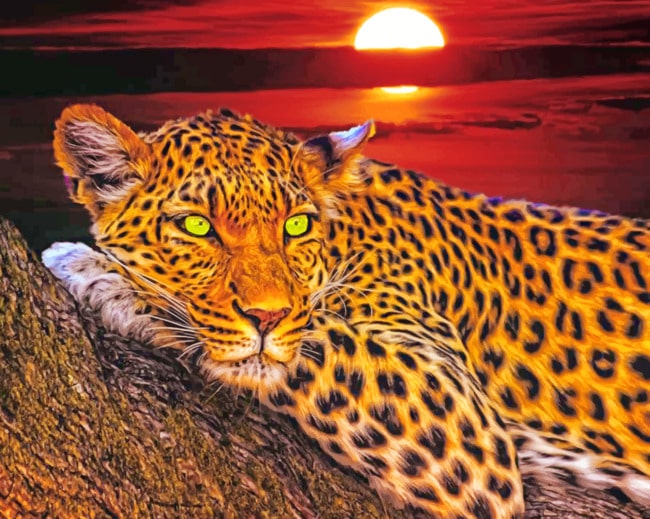 Leopard paint by numbers