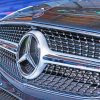 Mercedes Benz Grille paint by numbers