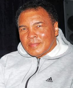 Mohamed Ali paint by numbers
