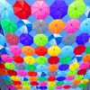 Multicolored Umbrellas paint by numbers