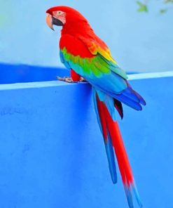 Parrot Bird paint By numbers