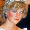 Princess Diana paint by numbers
