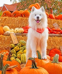 Pumpkin Aesthetic Fall Dog paint by numbers