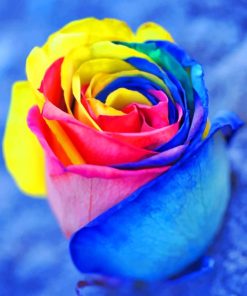Rainbow Rose paint by numbers
