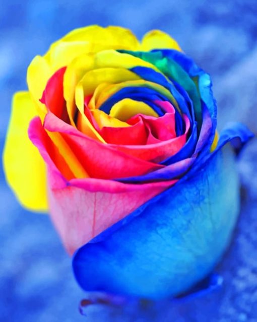 Rainbow Rose paint by numbers
