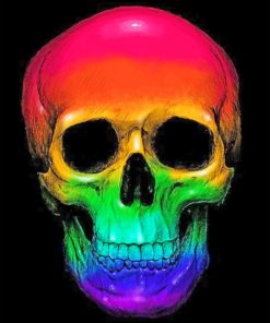 rainbow Skull paint by numbers