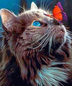 Red Butterfly On Cat Nose paint by numbers