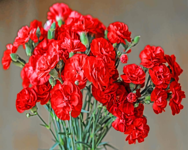 Red Petaled Flowers paint By Numbers
