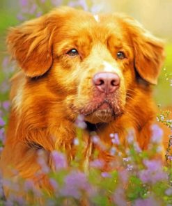 Retriever Dog paint by numbers