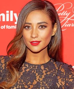 Shay Mitchell paint by numbers