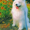 Smiling Dog With Flowers paint By Numbers
