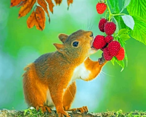 Squirrel Eating Berries paint by numbers