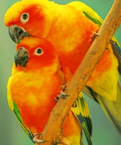 Orange Parrots paint by numbers