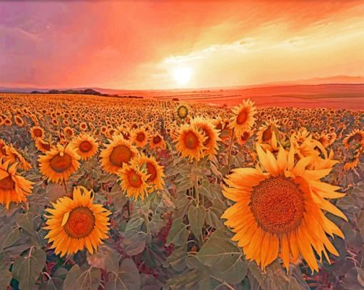 Sunset Field Flowers paint by numbers