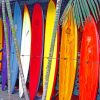 Surf Boards paint by numbers