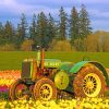 Tractor In Tulips Field paint by numbers