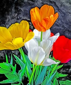 Tulips Bouquet Flowers paint by numbers