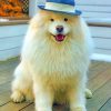 White Puppy With Blue Hat paint by numbers
