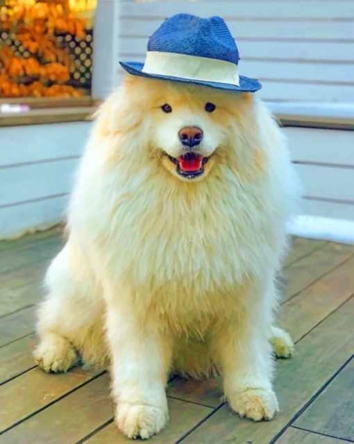 White Puppy With Blue Hat paint by numbers