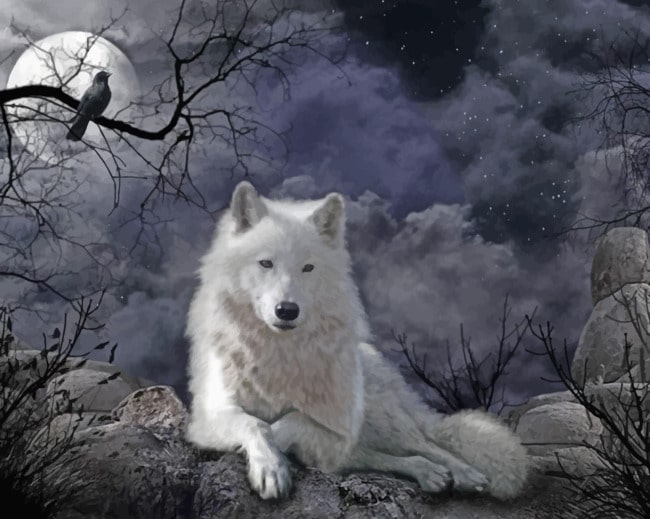 White Wolf At Night paint By numbers