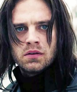 Winter Solidier Bucky Barnes paint by numbers