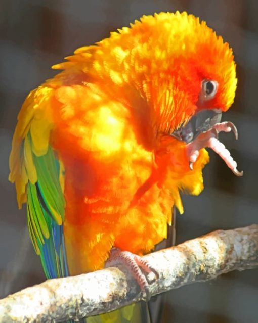 Yellow Parrot Paint By Numbers
