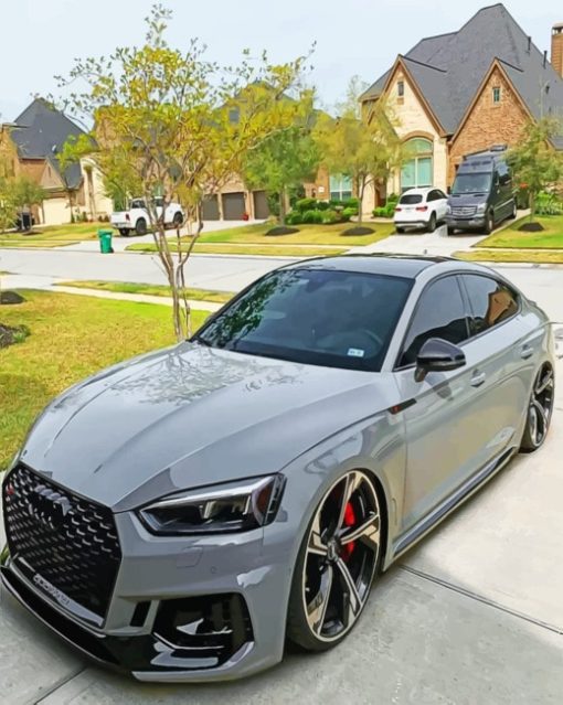 Audi RS5 paint By Numbers