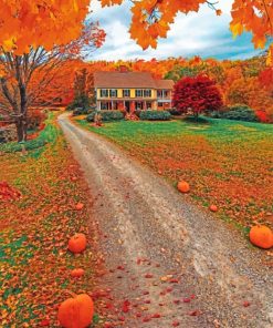 Autumn Landscape paint By Numbers