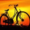 Bicycle Silhouette paint by numbers