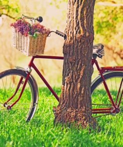 Bicycle With Basket Flowers paint by numbers